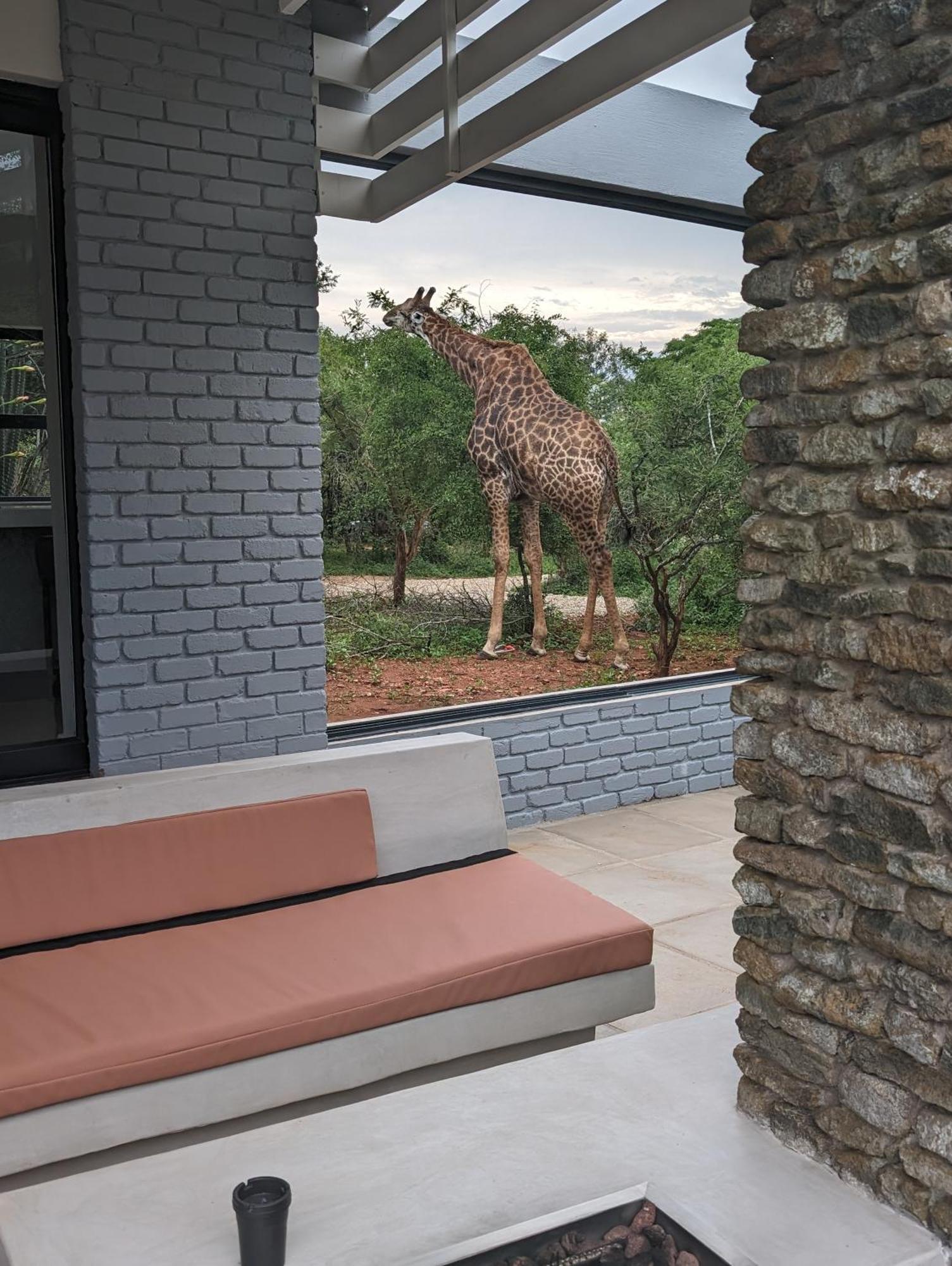 Ungava Retreat Vila Marloth Park Exterior foto